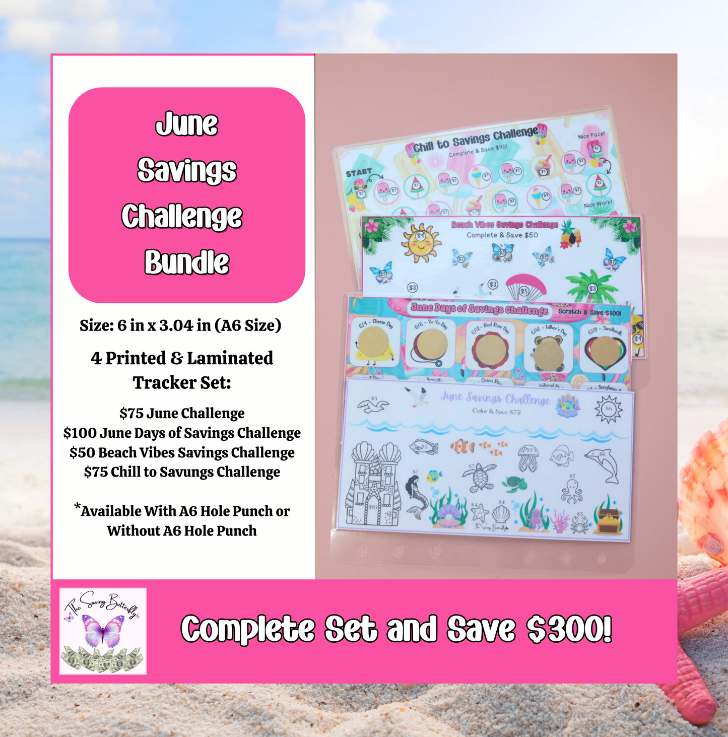 June Savings Challenge Bundle Set