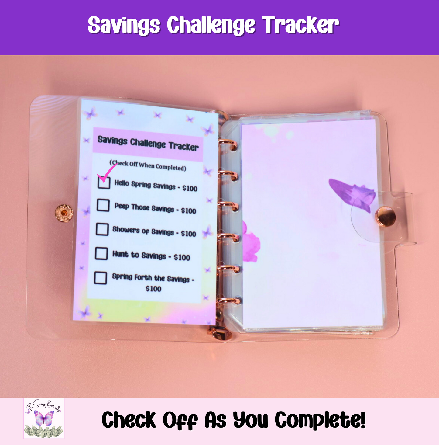 $500 Mini Spring Savings Challenge Binder Set