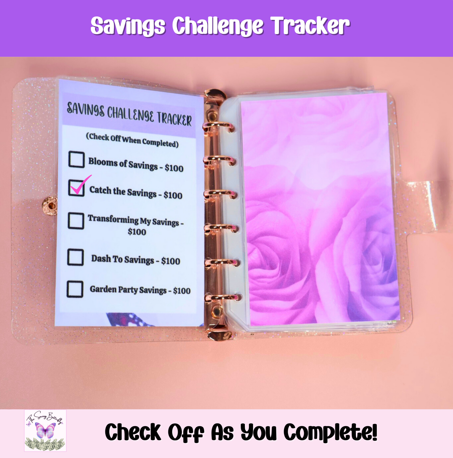 $500 Mini Butterfly Savings Challenge Binder Set