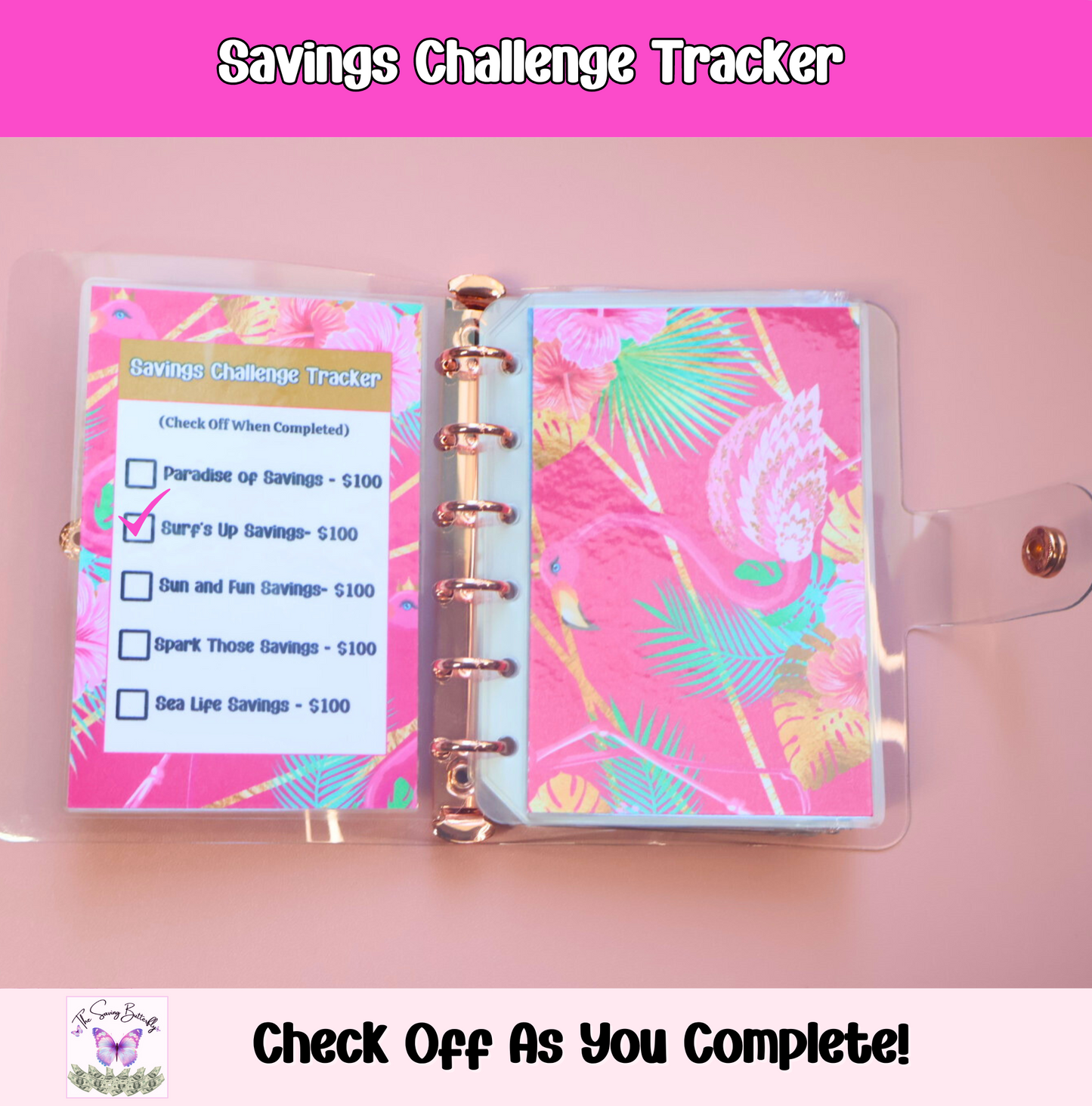 Mini Summer Savings Challenge Binder Set