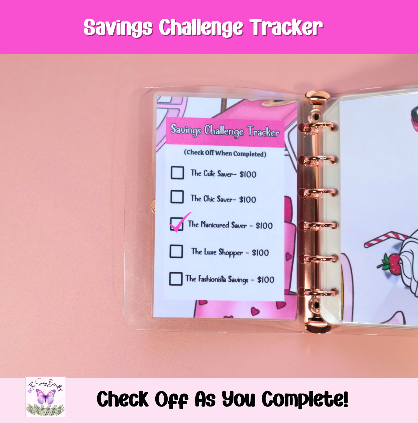 $500 Cute Saver - Mini Savings Challenge Binder Set