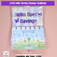 $500 Mini Spring Savings Challenge Binder Set