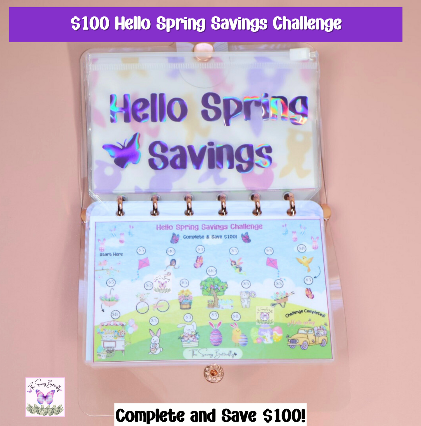 $500 Mini Spring Savings Challenge Binder Set