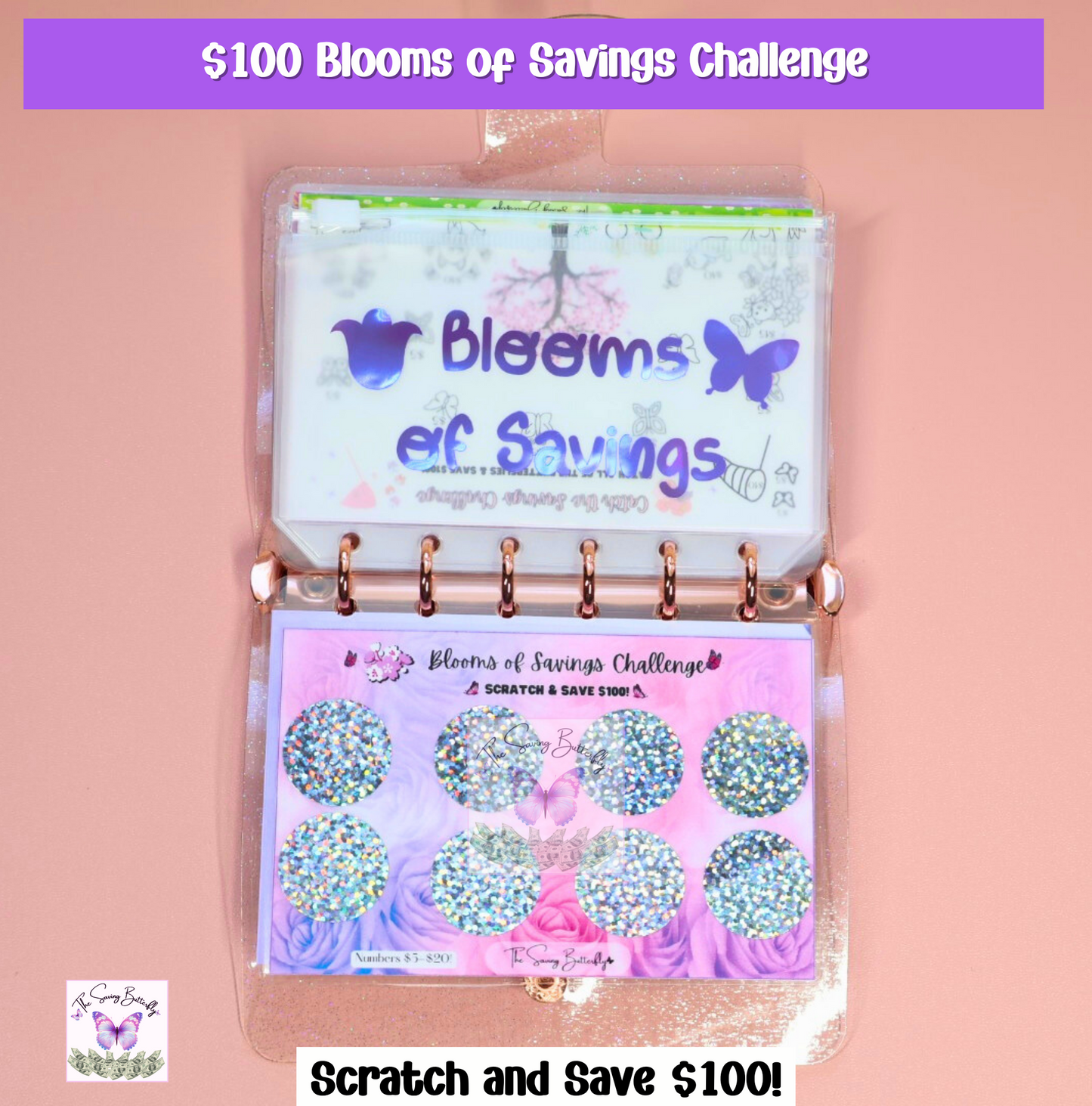 $500 Mini Butterfly Savings Challenge Binder Set