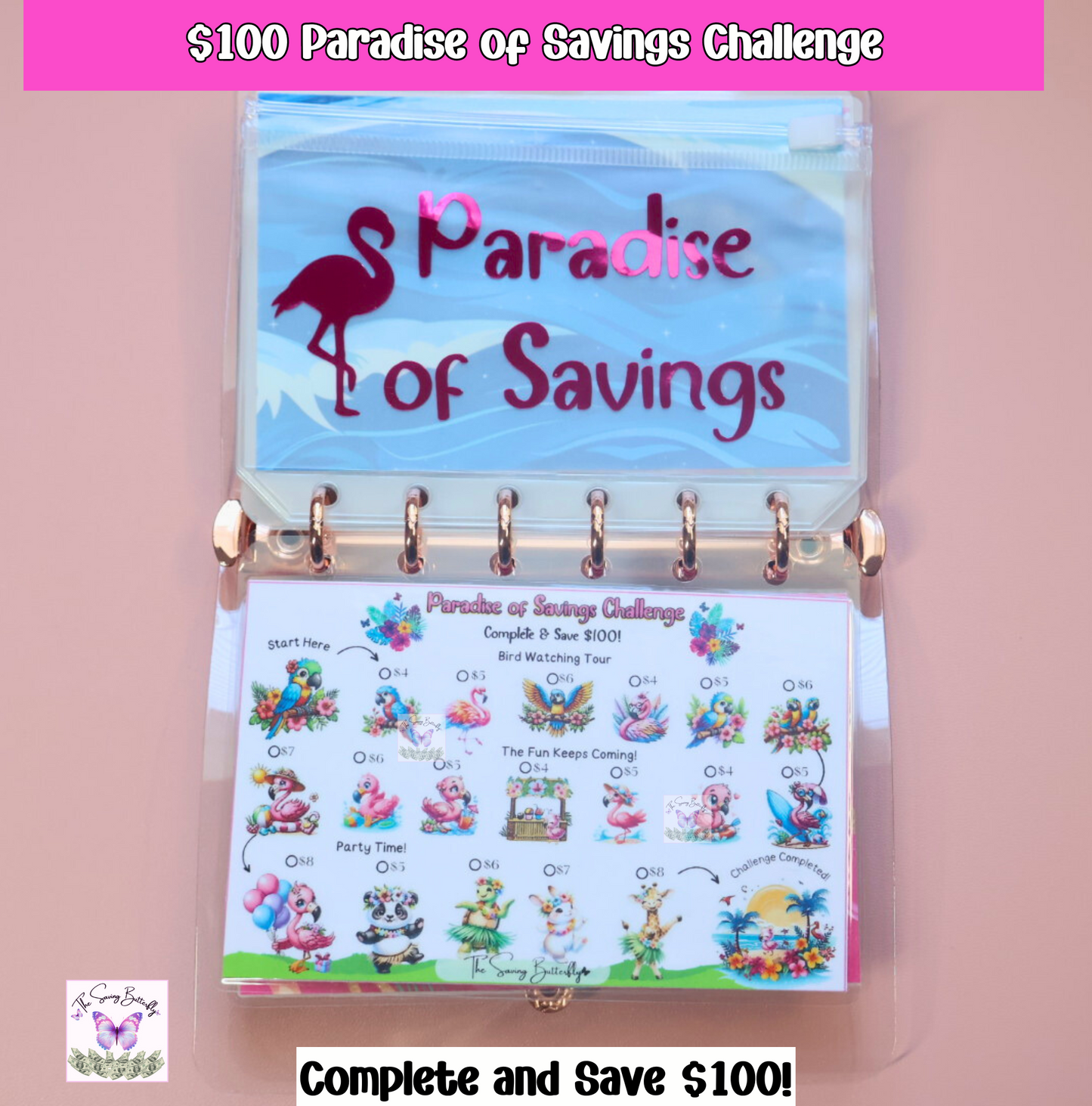 Mini Summer Savings Challenge Binder Set