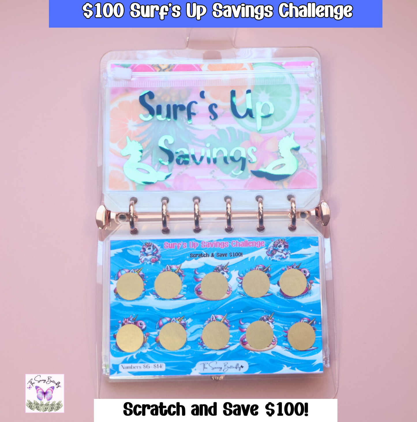 Mini Summer Savings Challenge Binder Set