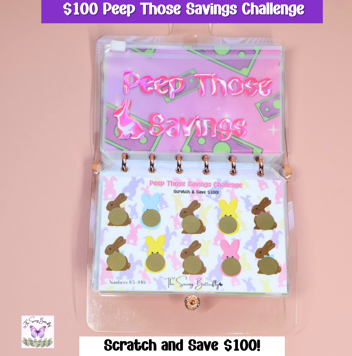 $500 Mini Spring Savings Challenge Binder Set