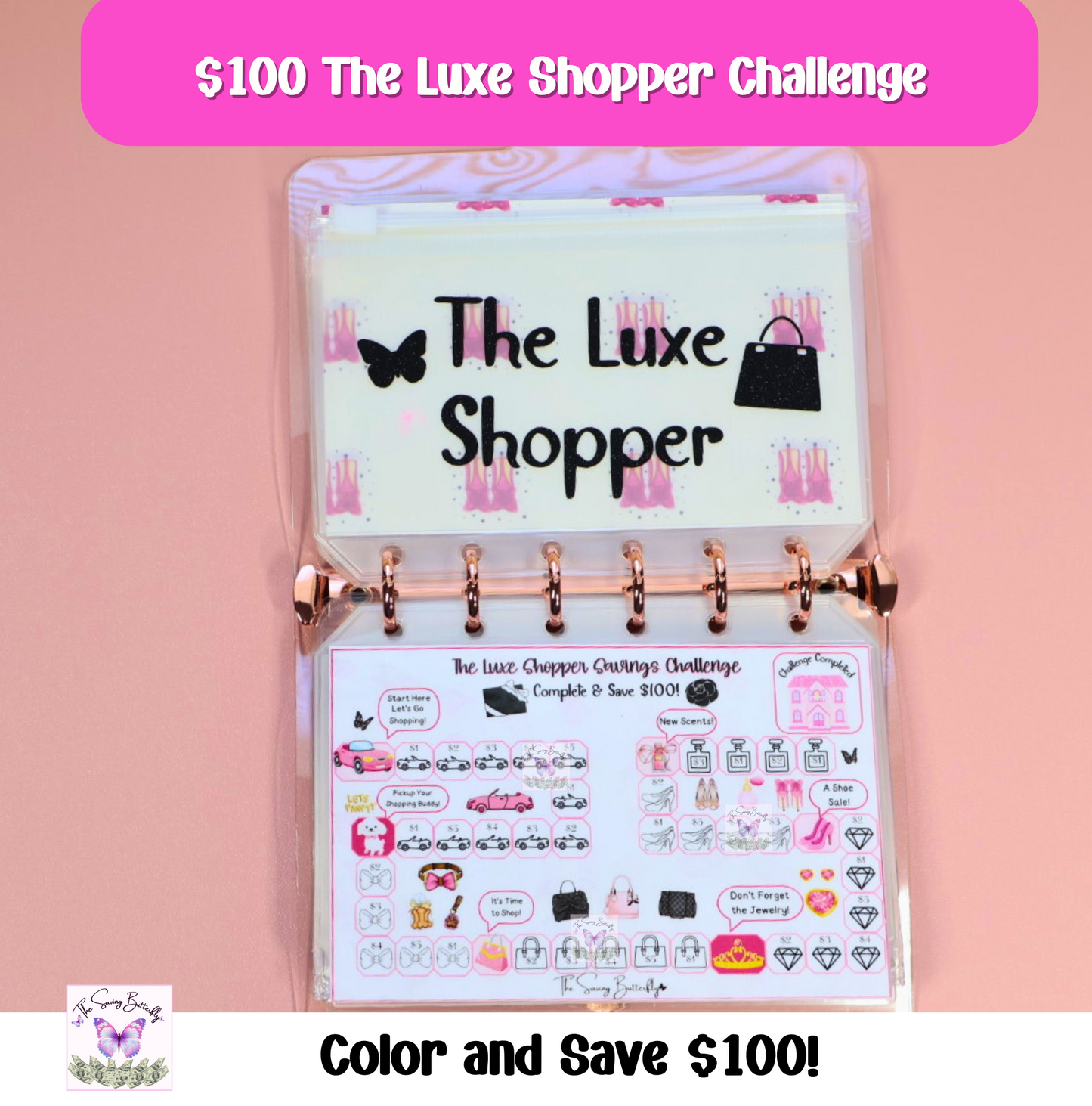 $500 Cute Saver - Mini Savings Challenge Binder Set