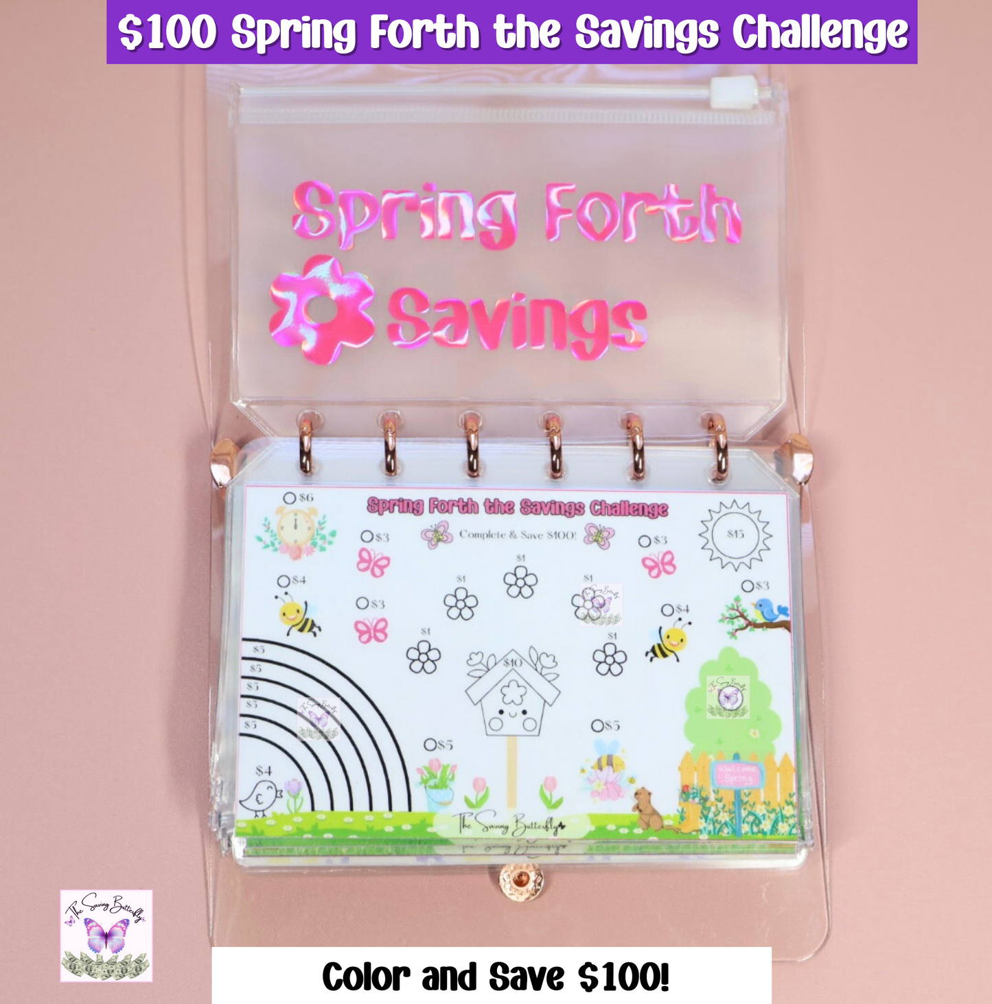 $500 Mini Spring Savings Challenge Binder Set