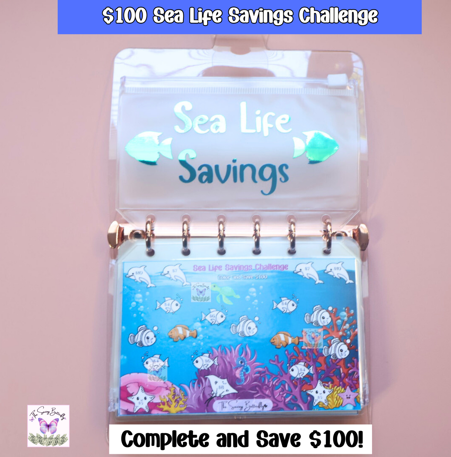 Mini Summer Savings Challenge Binder Set