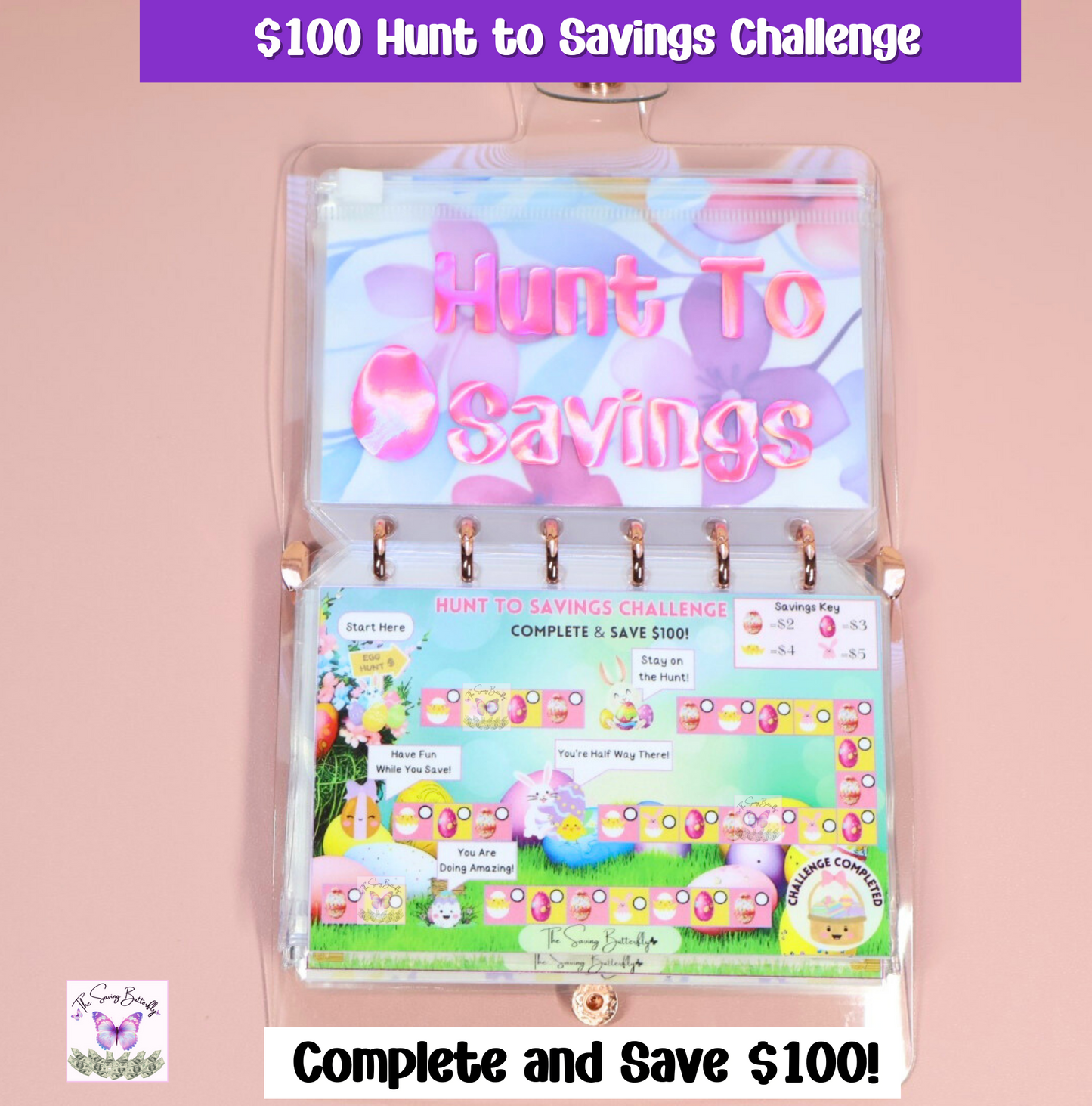 $500 Mini Spring Savings Challenge Binder Set